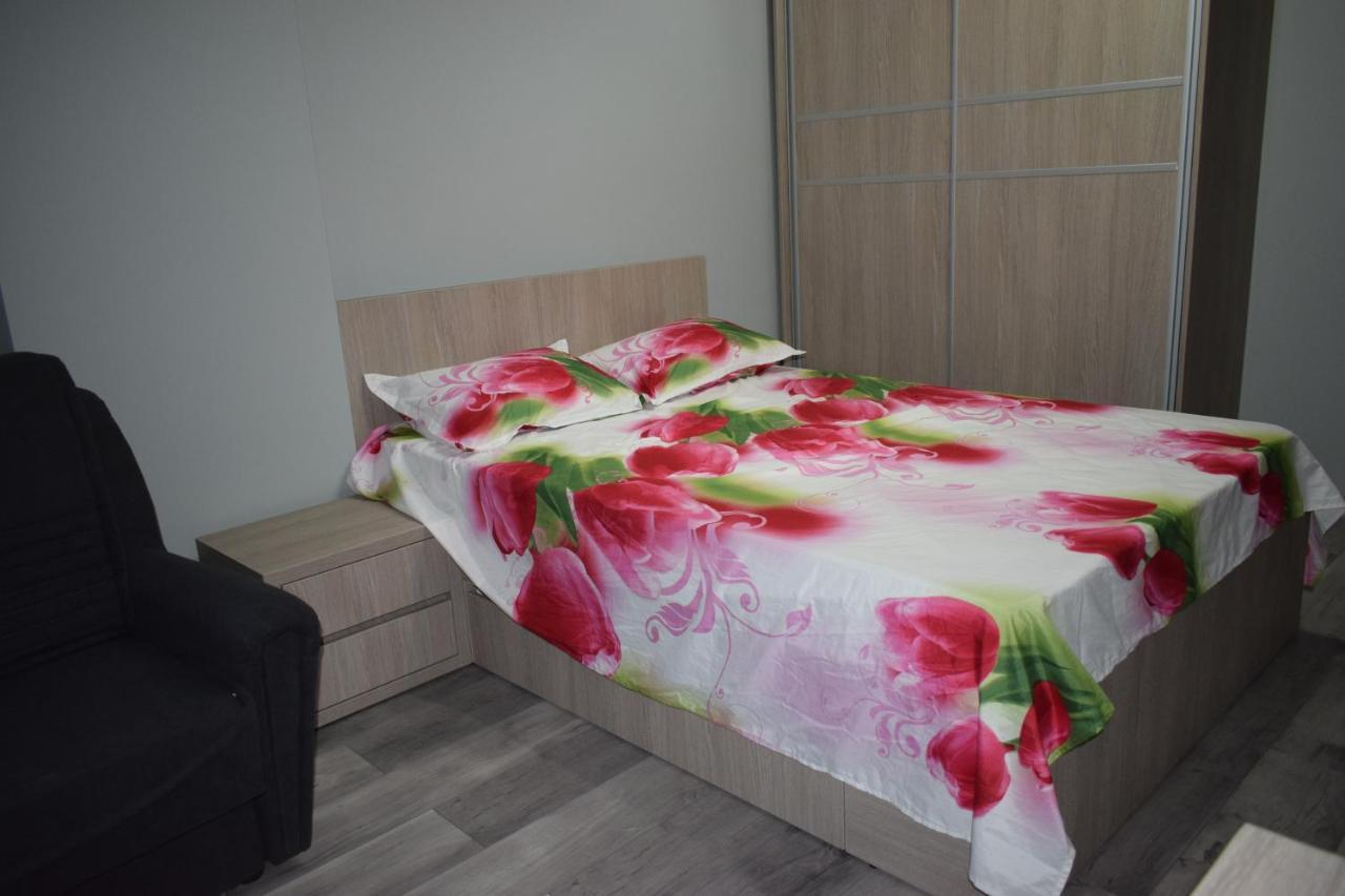 Apartament Parc Central Rhbm Baia Mare Exterior photo