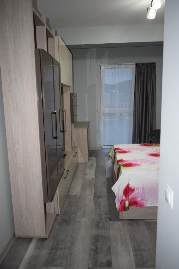 Apartament Parc Central Rhbm Baia Mare Exterior photo